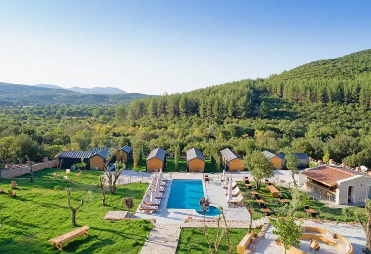 Kairos Homera 1 copy